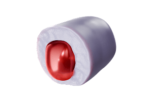 Grape Sour Cherry Sweet